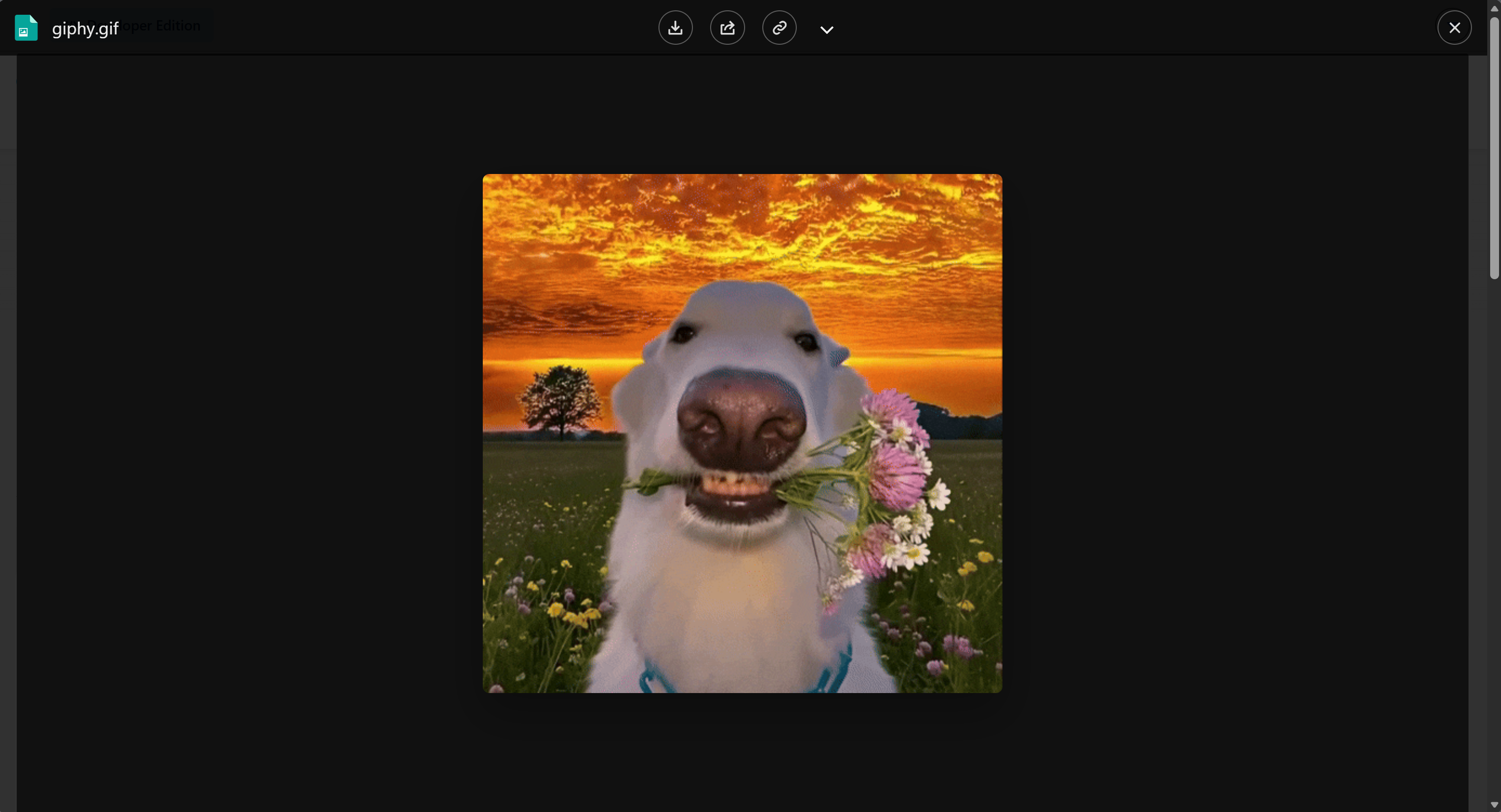 Large Image Preview